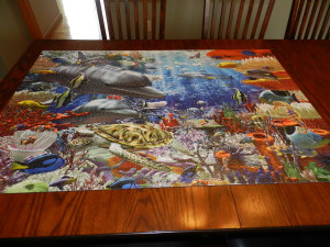 3000 piece puzzle
